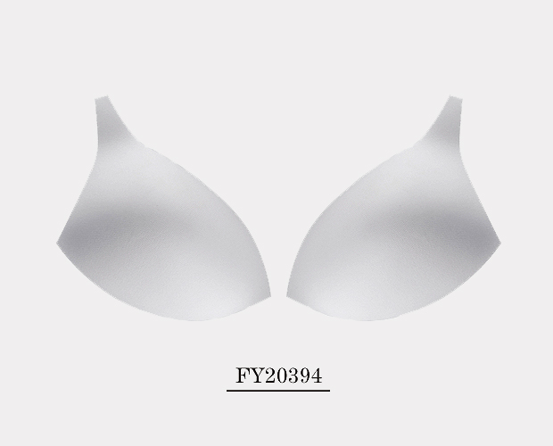Fy20394