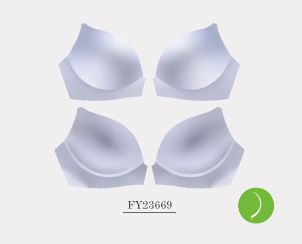 FY23669
